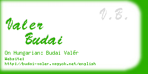 valer budai business card